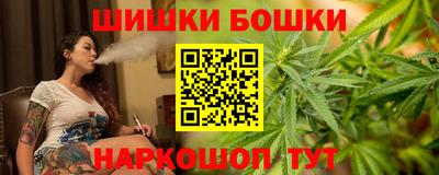 мдпв Бердск