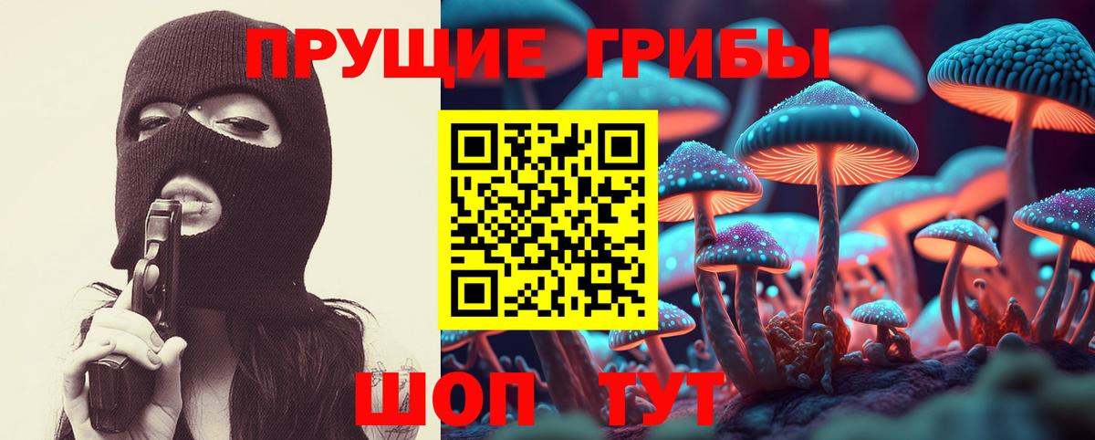 Саранск  дарнет шоп  Вход с VPN  Галлюциногенные грибы прущие грибы 